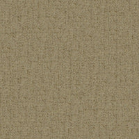 REMINDER DESERT fabric